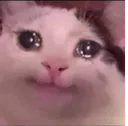 lenkacry