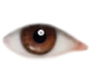 eye2 eye2