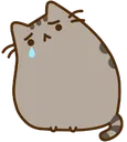 Sad Pusheen Discord Emoji
