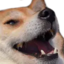 Dog Laugh doglaugh Discord Emoji