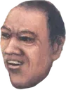 chinese_tf