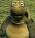 shockedscrub