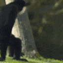 monke_hug2 Discord Emoji