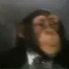 monke_leave