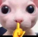 Bingus_Shush Bingus_Shush