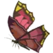 summerwingbutterfly