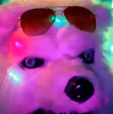 furry Discord emoji