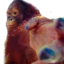 return_to_monke