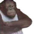 monke_wifebeater
