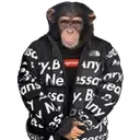 monke_drip