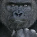 monke_bored Discord Emoji