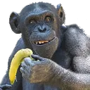 monke_have_banana