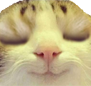 happycatto Discord emoji
