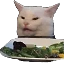 WomanYellingAtCat Discord Emoji