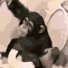 monke_toilet