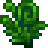 Fiddlehead_Fern