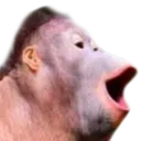 monke_pog2
