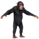 monke_t_pose