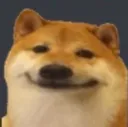 doggosmile