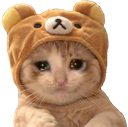 sadcat Discord emoji