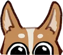 pikapeek