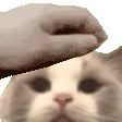 PETTHEMIMI PETTHEMIMI
