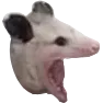 hescream