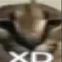 floppaXD floppaXD