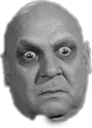 ShockedFester ShockedFester