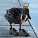 duck