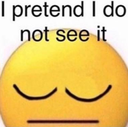 ipretendidonotseeit Discord emoji