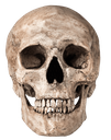 skull Discord emoji