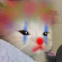 KF_clowncat KF_clowncat