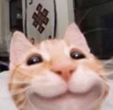 catsmile