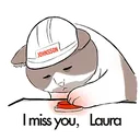 SadBobCat