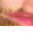 VVKooler3