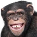 Monke