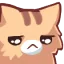 nekosad