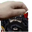 DisapPATmentChampion