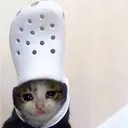 Crocscat Discord Emoji