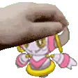 petCas