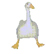 goose_jam