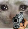 sadcatgun