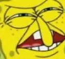 sponge