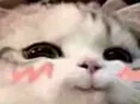 wUw