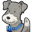 hi