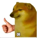 RNX_ok_vai