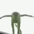 KermitDie
