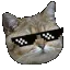 coolcat