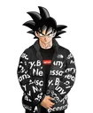 goku